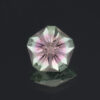 An image of a Hanami cut bi-color lab-created sapphire in green and pink.